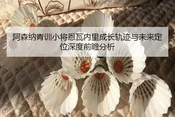阿森纳青训小将恩瓦内里成长轨迹与未来定位深度前瞻分析